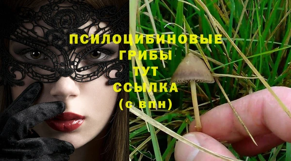 гидра Алексеевка