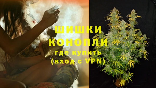 сатива Алексин