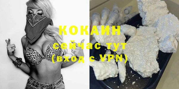 ГАЛЛЮЦИНОГЕННЫЕ ГРИБЫ Абаза