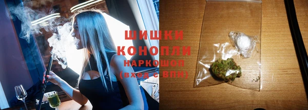 ГАЛЛЮЦИНОГЕННЫЕ ГРИБЫ Абаза