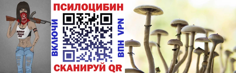 Галлюциногенные грибы прущие грибы  Старая Русса 