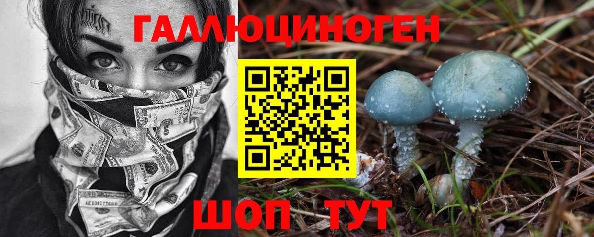 Псилоцибиновые грибы MAGIC MUSHROOMS  Вход с VPN  Старая Русса 