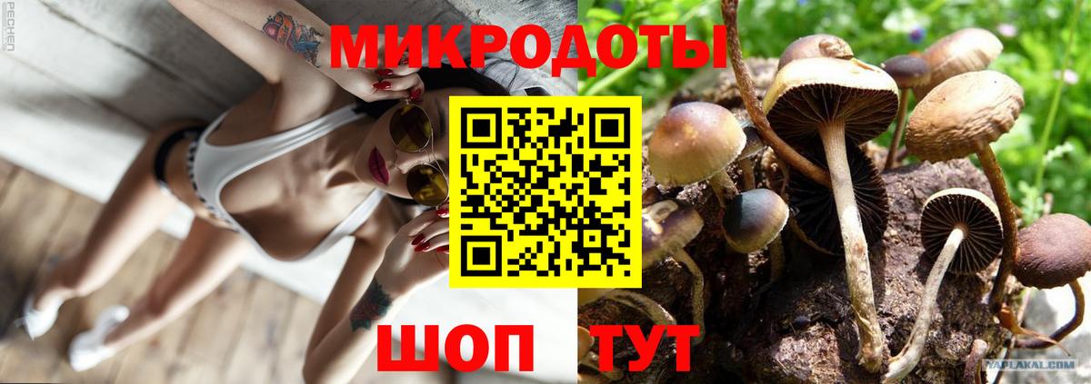 Псилоцибиновые грибы Cubensis Старая Русса